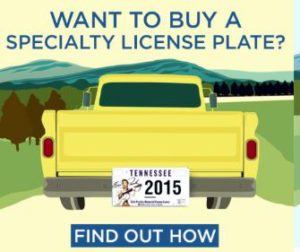 license plates image